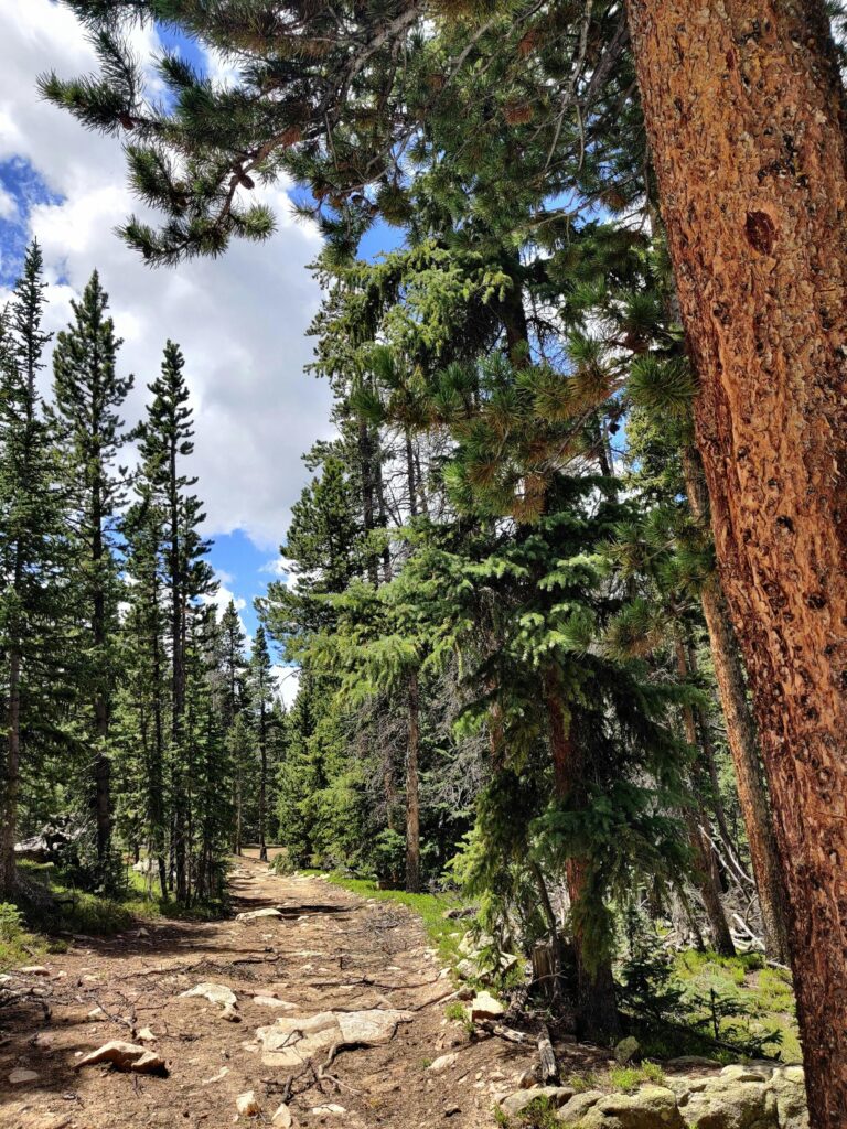 red feather lakes